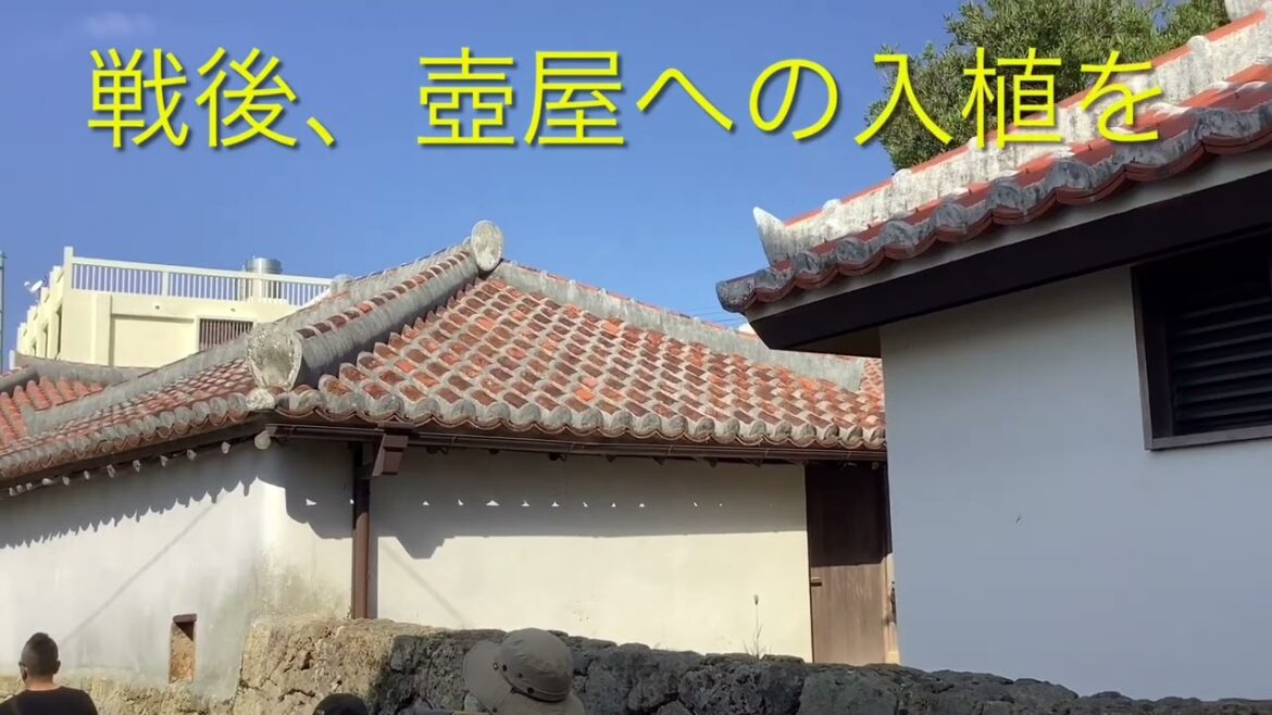 戦後発展した那覇の中心市街地を巡る。(Tour the central city area of ​​Naha, which developed after the war.)