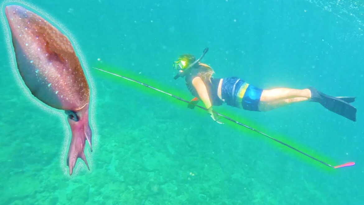 SPEARFISHING FOR SQUID! LOBSTER & CALAMARI (A REAL CATCH, CLEAN, & COOK)