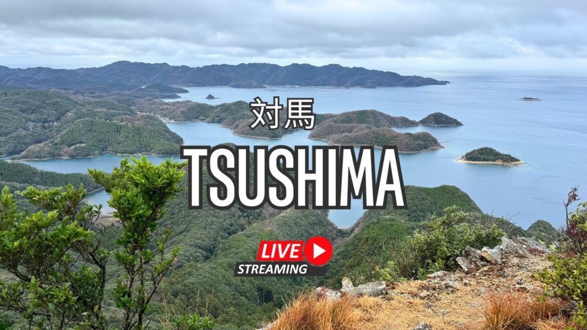🔴LIVE: 対馬 / Tsushima – Early morning walk! 🔴LIVE: 対馬 / Tsushima - Early morning walk!