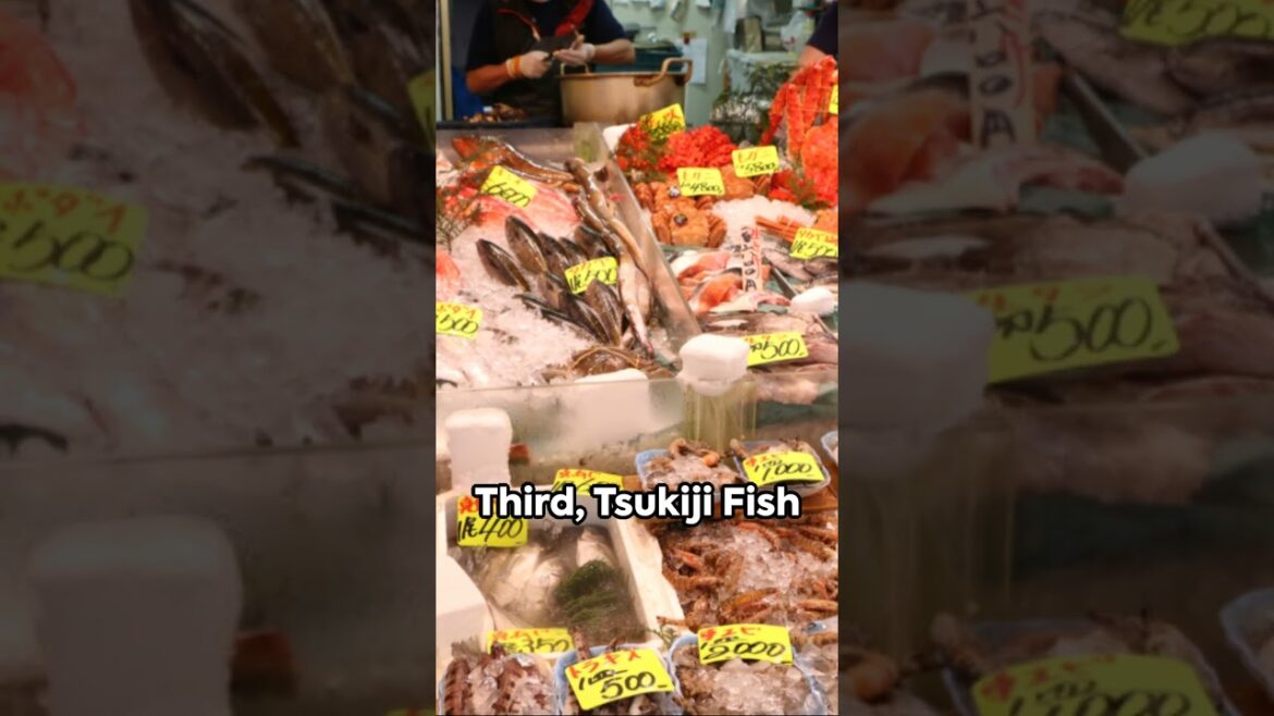 Tokyo Top 5 Places To Visit In 2024