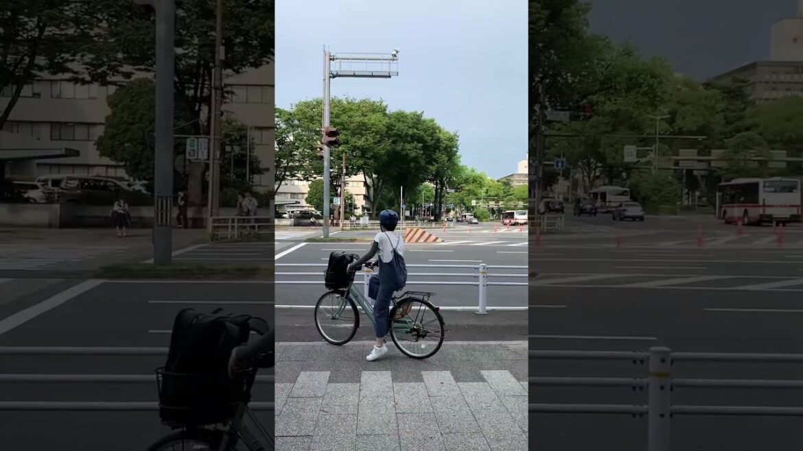 El nuevo viaje de Nagoya en 1 días, Japón 3 #shorts