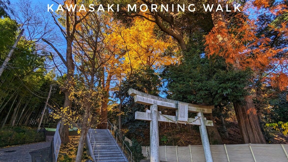 Live Morning Japan Walk – Kawasaki Live Morning Japan Walk - Kawasaki