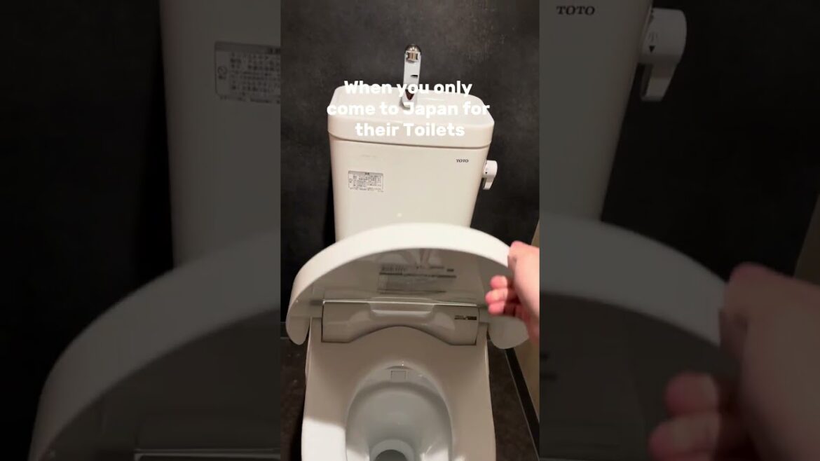 Tell me it's not just me... #shorts #japan