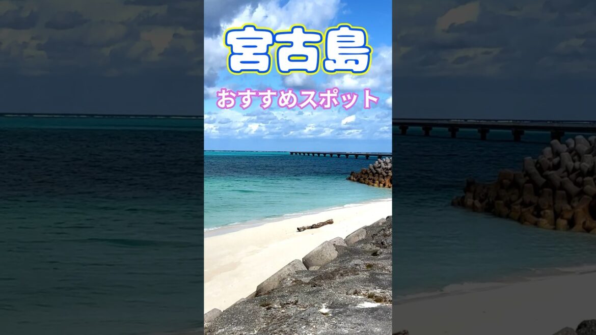 目の前に飛行機が現れる絶景スポット17end#shorts #光景 #travel #絶景スポット