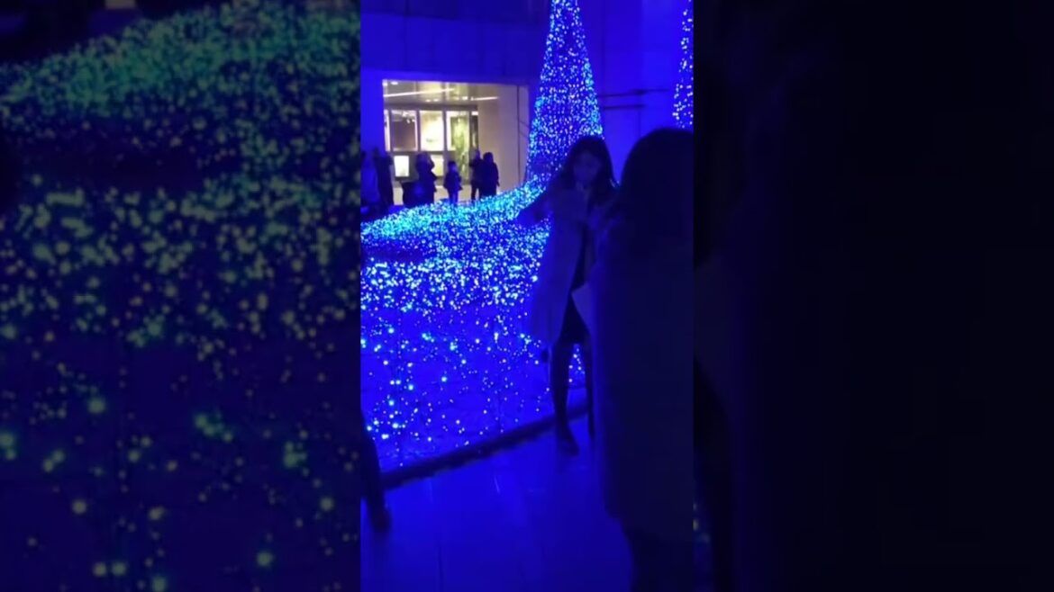 WINTER ILLUMINATIONS in TOKYO #tokyo #japan #japanese #illumination #winter