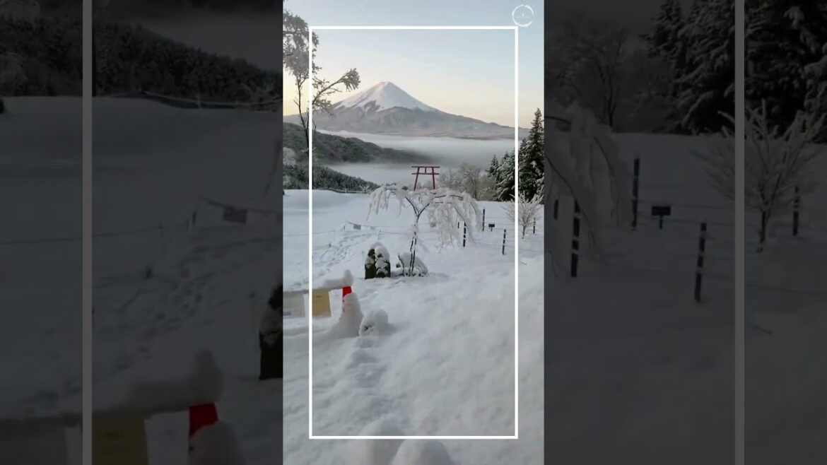 Winter in Mount fuji. #mountfuji Winter in Mount fuji. #mountfuji