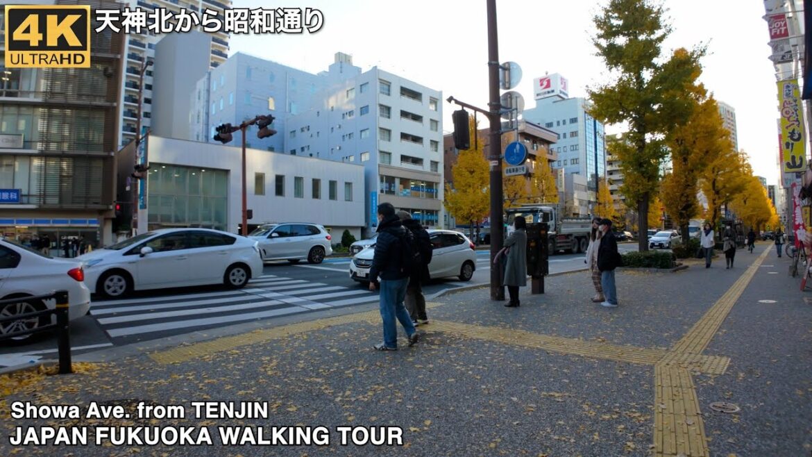 福岡市天神から昭和通りを歩く4k japan walking tour Fukuoka Showa Ave.from Tenjin