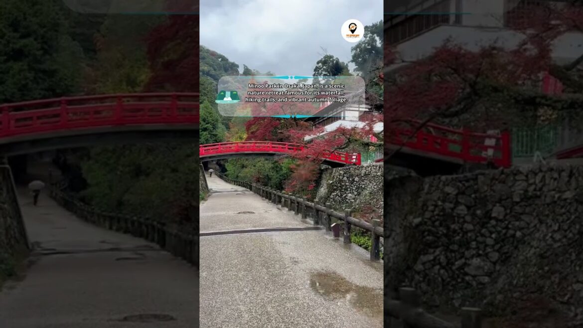 Minoo Park in Osaka, Japan | The Nomad Way #shorts #asiatravel