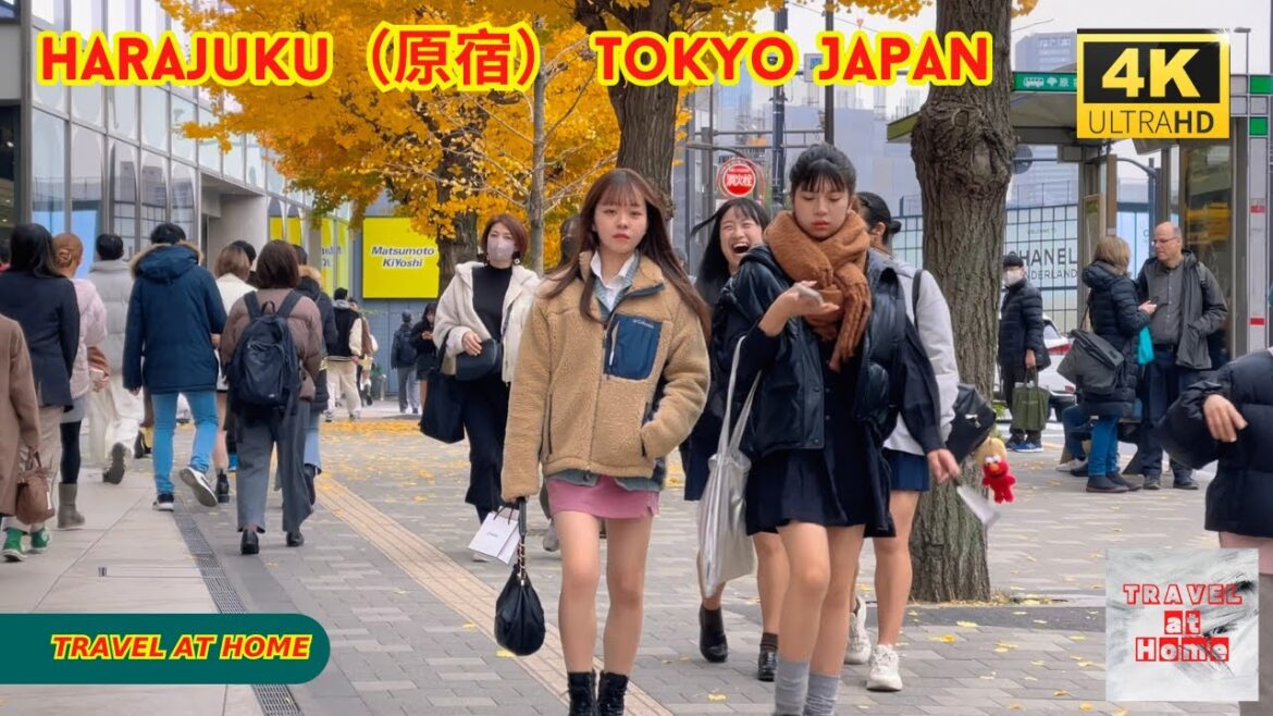 4k hdr japan travel | Walk in Harajuku（原宿）Tokyo japan |  Relaxing Natural City ambience