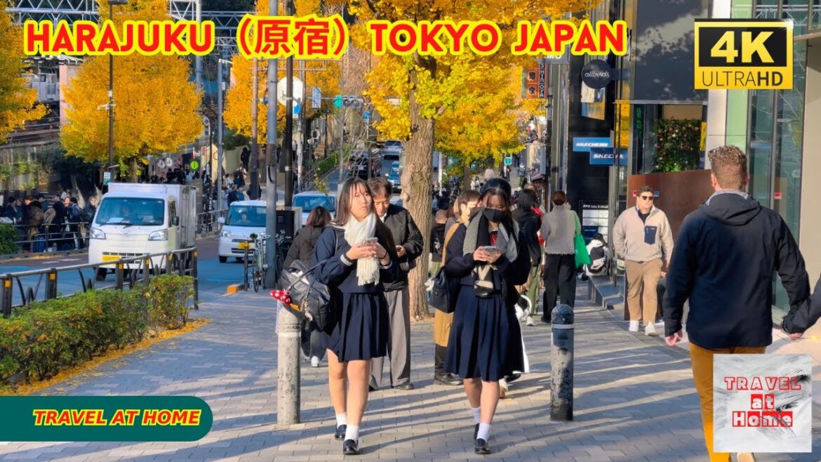 4k hdr japan travel | Walk in Harajuku（原宿）Tokyo japan |  Relaxing Natural City ambience
