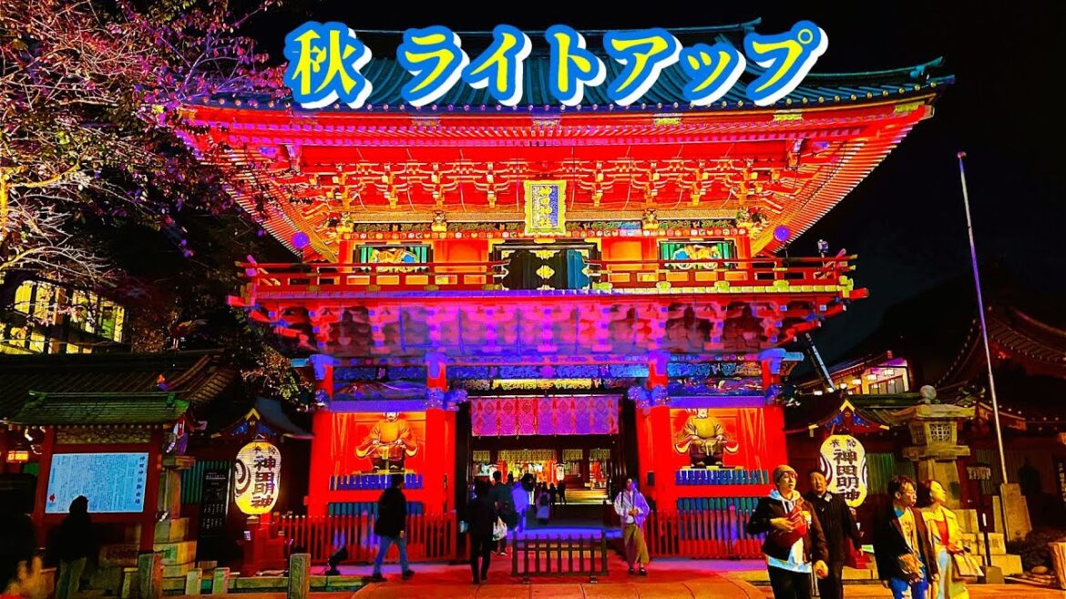 【東京】神田明神紅葉ライトアッププロジェクト2023 Walking Tour Tokyo Japan 【東京】神田明神紅葉ライトアッププロジェクト2023 Walking Tour Tokyo Japan
