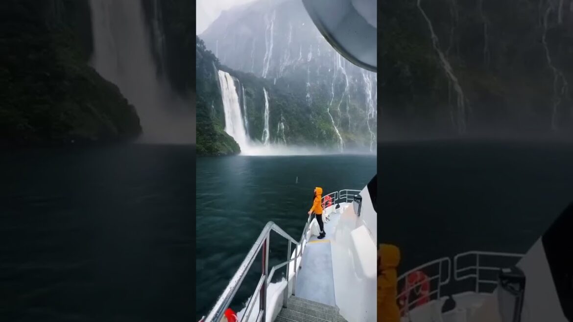 New Zealand Edition || Places on earth that donโt feel real ๐๏ธ๐๏ธ New Zealand Edition || Places on earth that donโt feel real ๐๏ธ๐๏ธ