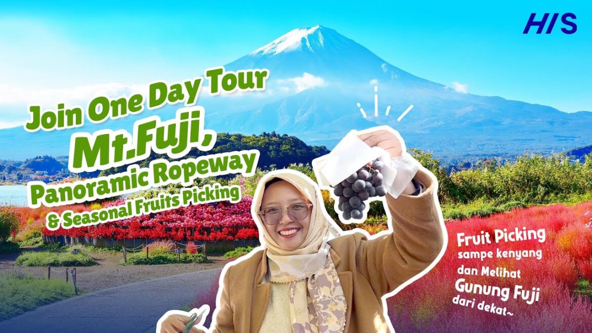 One day Tour Mt.Fuji 🗻 & Panoramic Ropeway Seasonal fruit Picking One day Tour Mt.Fuji 🗻 & Panoramic Ropeway Seasonal fruit Picking