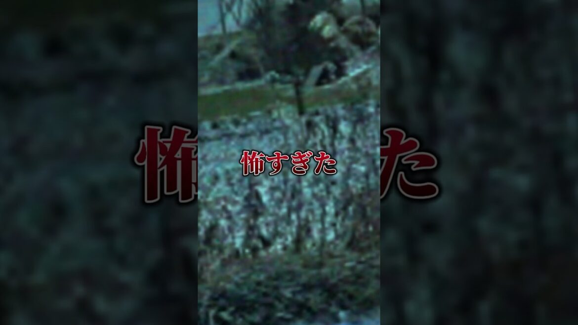 冬道をドライブしてたら「怖すぎた」道路に片方だけ落ちている靴の謎 #vlog #shorts