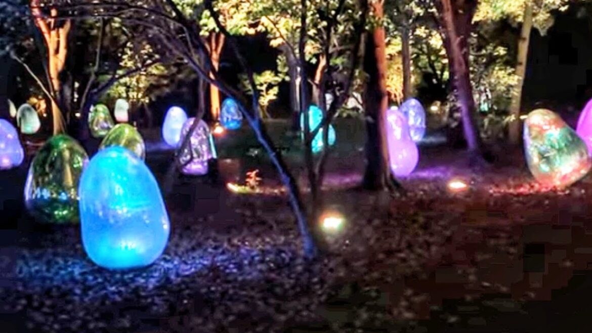 Amazing Night Walk in Osaka Japan