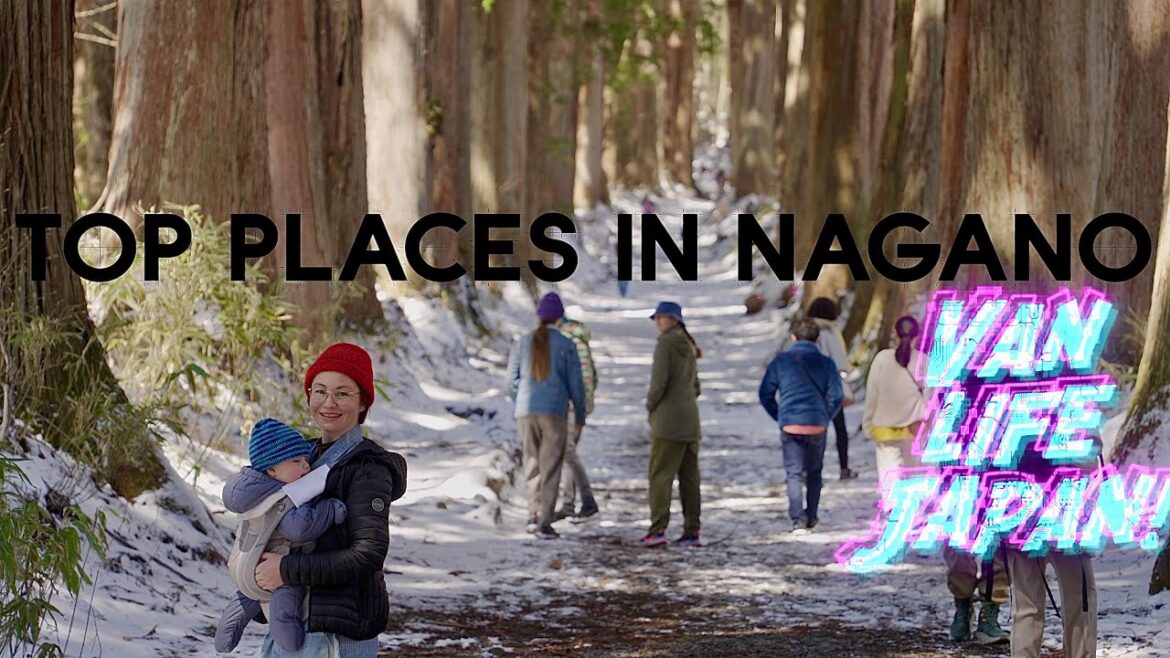 Togakushi Shrine • Unmissable in Nagano • Japan van life trip e13