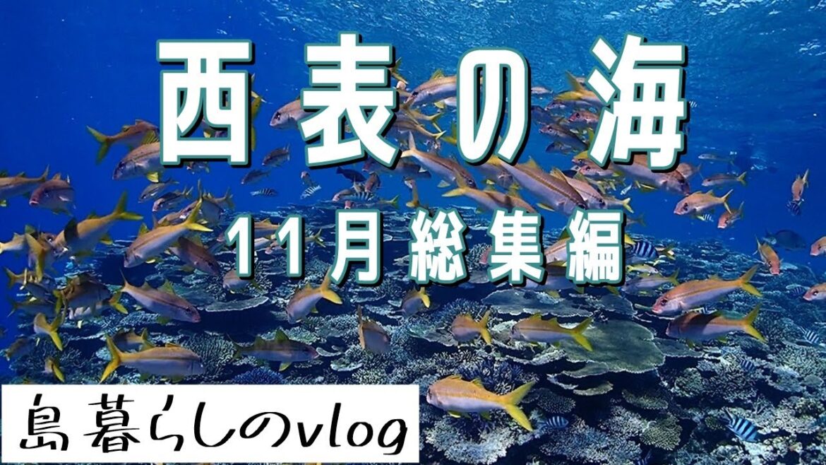西表島バラス島・鳩間島シュノーケリングツアー/11月総集編/No.251 西表島バラス島・鳩間島シュノーケリングツアー/11月総集編/No.251