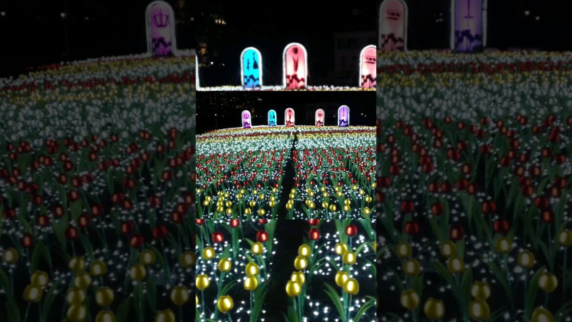 #vlogmas2023 #christmas #greetings #13 #japan #holiday #trending #shortvideo #shorts