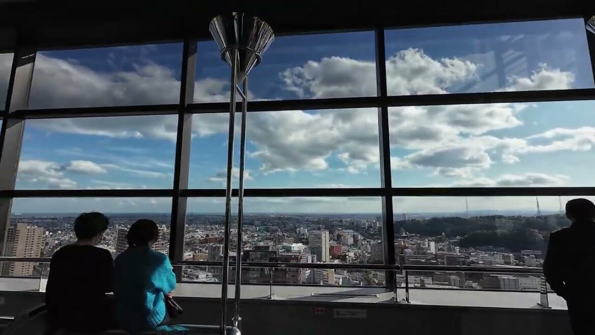 Sendai Trip (Sendai Market + Observation Deck)