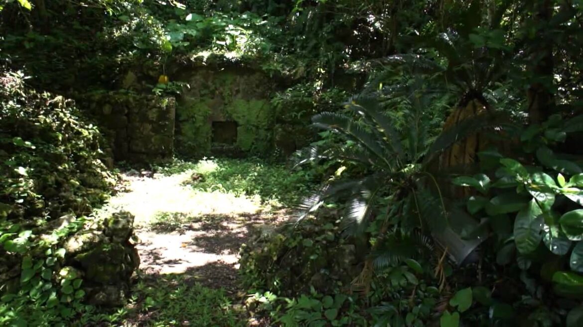 Haunted Hotel, Okinawa