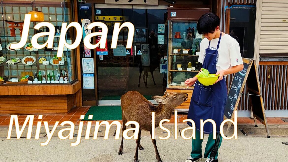 Miyajima Island (宮島), Japan Miyajima Island (宮島), Japan