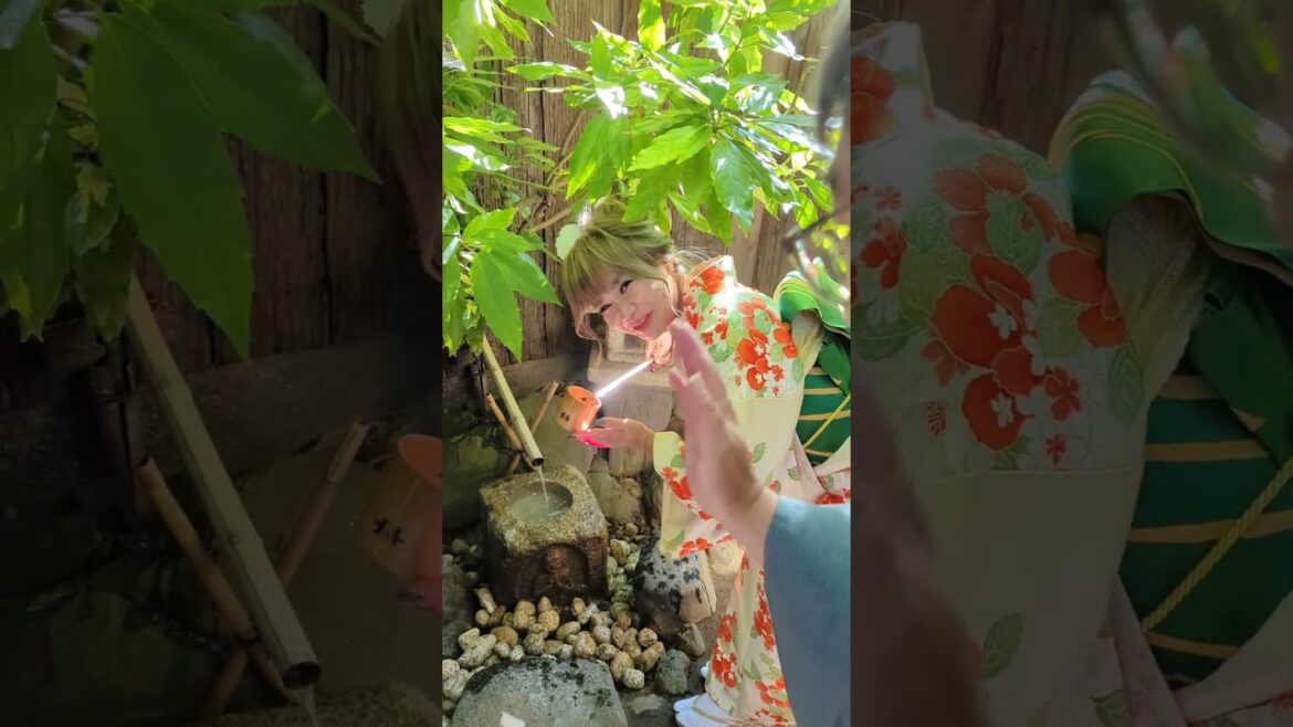 Japanese KIMONO & GARDEN / #japaneseculture #japanesegarden #kimono #shorts Japanese KIMONO & GARDEN / #japaneseculture #japanesegarden #kimono #shorts