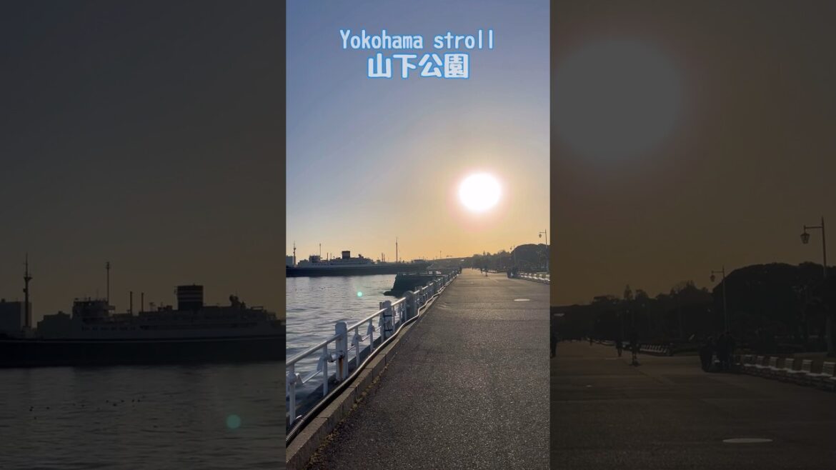 横浜散歩〜象の鼻防波堤〜山下臨港線プロムナード〜横浜ロータス〜山下公園〜ベイブリッジ〜イチョウ並木 / Yokohama Trip