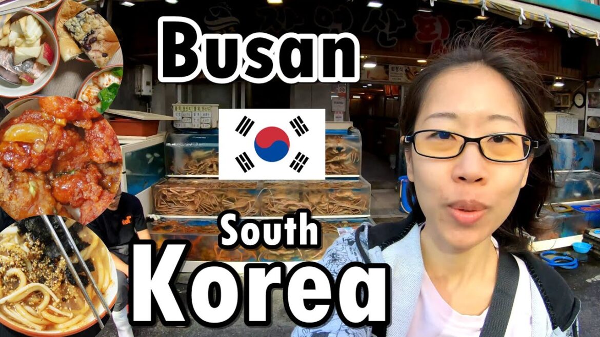 ครั้งแรกในปูซาน 1 เดือน 🇰🇷 กินอะไร ราคาเท่าไหร่ | Busan, South Korea | GoNoGuide Go ep.356