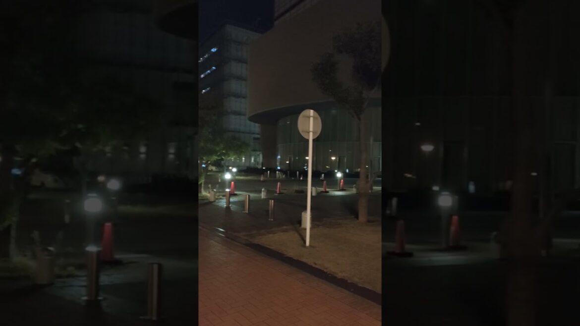 Mid-night arriving at JICA center, so cold in Japan #foryou #food #travel #satisfying #streetfood