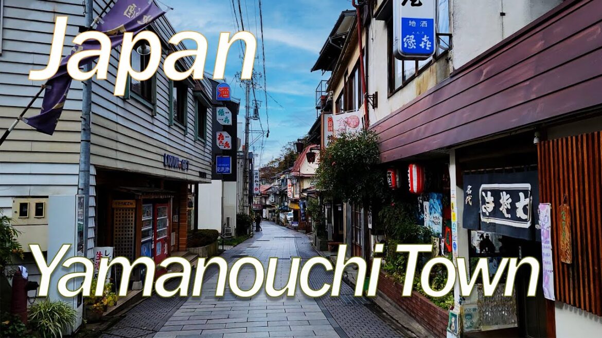 Yamanouchi (山ノ内温泉 Hot Springs Town), Japan