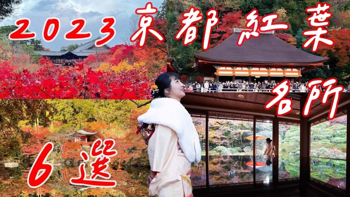 2023京都紅葉六選｜清水寺、東福寺、八坂神社、醍醐寺、吉田大社、舊竹林院、伏見稻荷大社｜日本絕景｜人潮爆炸多｜福岡女孩日本旅遊・京都自由行必去景點ep42
