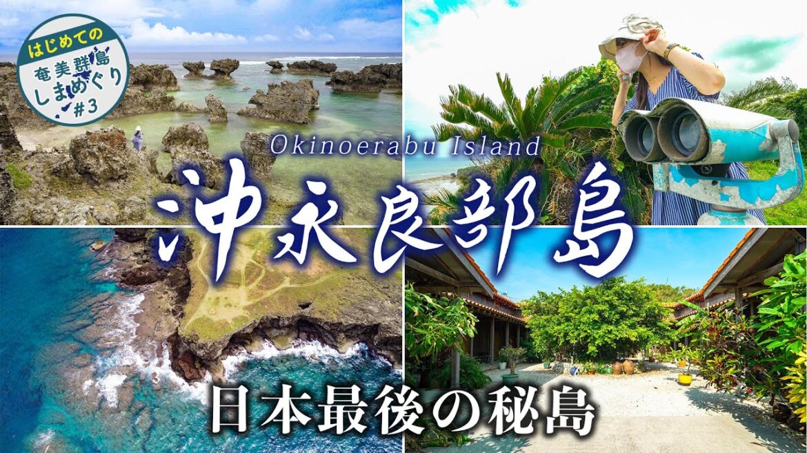 【神秘の楽園】日本最後の秘島「沖永良部島」に初上陸！鍾乳洞に断崖絶壁の絶景スポットを紹介 | 奄美群島 | アイランドホッピング