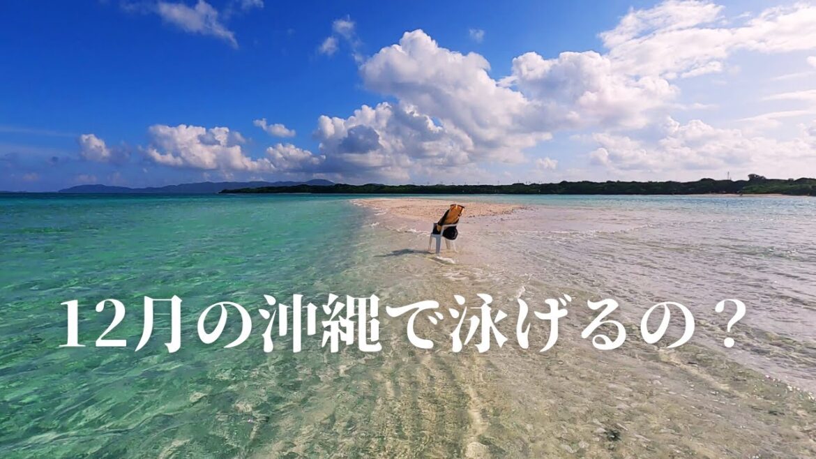 12月の沖縄で泳げるの? 第 403 話 12月の沖縄で泳げるの? 第 403 話