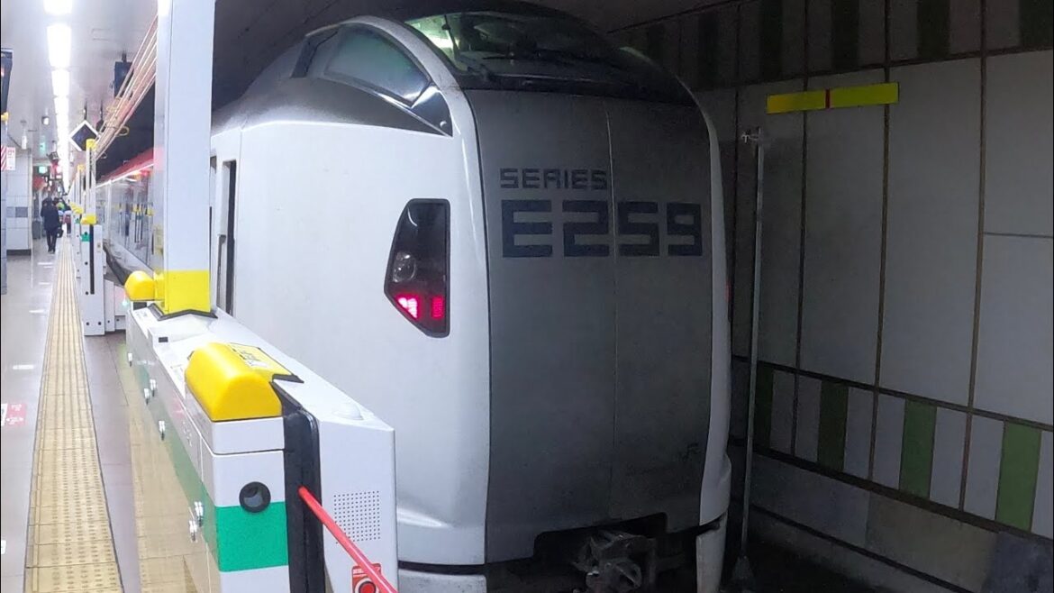 Narita airport to Tokyo | luxury train | Narita Express Narita airport to Tokyo | luxury train | Narita Express