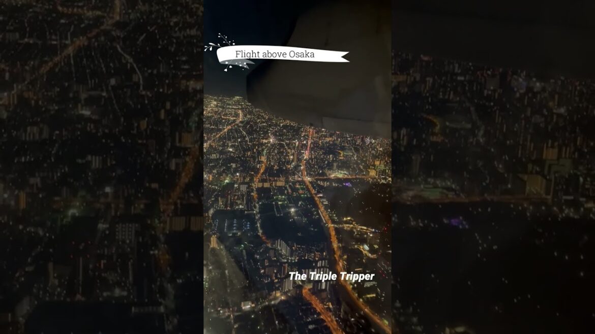 "Flight above Osaka"  Japan Trip-Log #shorts 7