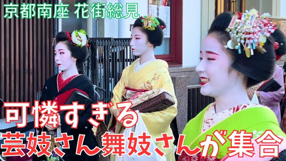 可憐すぎる舞妓さん💕京都南座🏮｢吉例顔見世（かおみせ）興行｣🎎花街総見・Maiko Kabuki Minamiza Kyoto Japan
