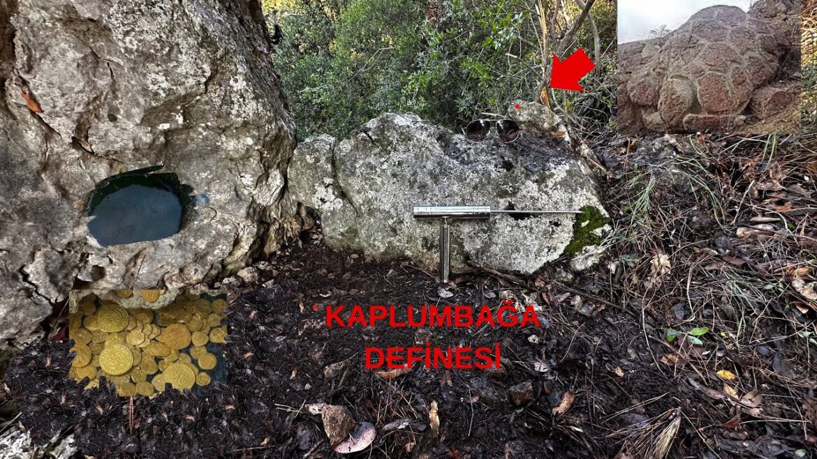 Kaplumbağa Define İşareti ve Çok Değerli Paralar Buldum.. #define Kaplumbağa Define İşareti ve Çok Değerli Paralar Buldum.. #define