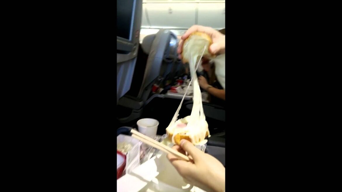 Japan Trip Vlog #4 - A Fascinating Meal