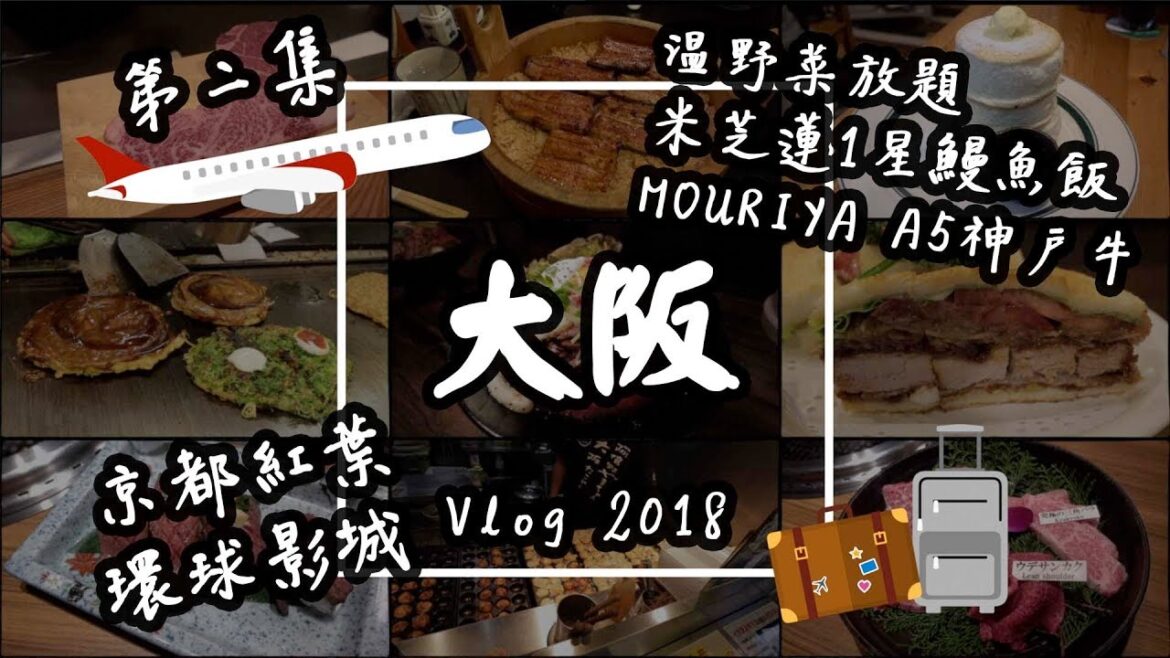 【大阪Vlog#2】日本美食自由行:環球影城USJ、京都紅葉、MOURIYA神戶牛、米芝蓮鰻魚飯、溫野菜放題 | 旅遊攻略2019 【大阪Vlog#2】日本美食自由行:環球影城USJ、京都紅葉、MOURIYA神戶牛、米芝蓮鰻魚飯、溫野菜放題 | 旅遊攻略2019