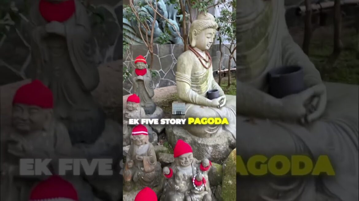 We ditched Hiroshima for Miyajima | Day with Deers, Tori Gate, Budha & Shinto shrine #shorts