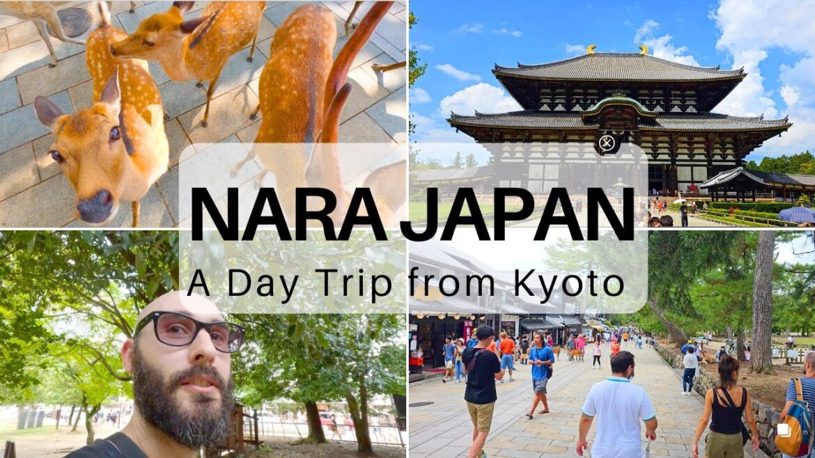 A Day Trip to Nara, Japan from Kyoto (#7)