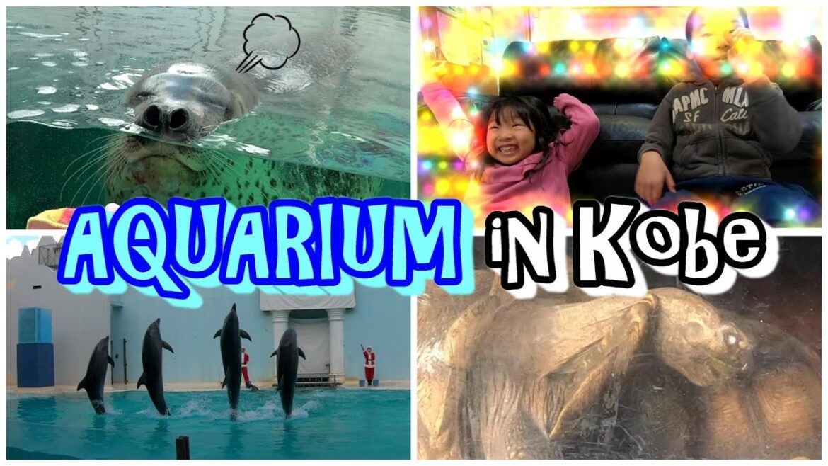 ★JAPANESE KIDS PLAY★ Aquarium in Kobe amid covid-19
