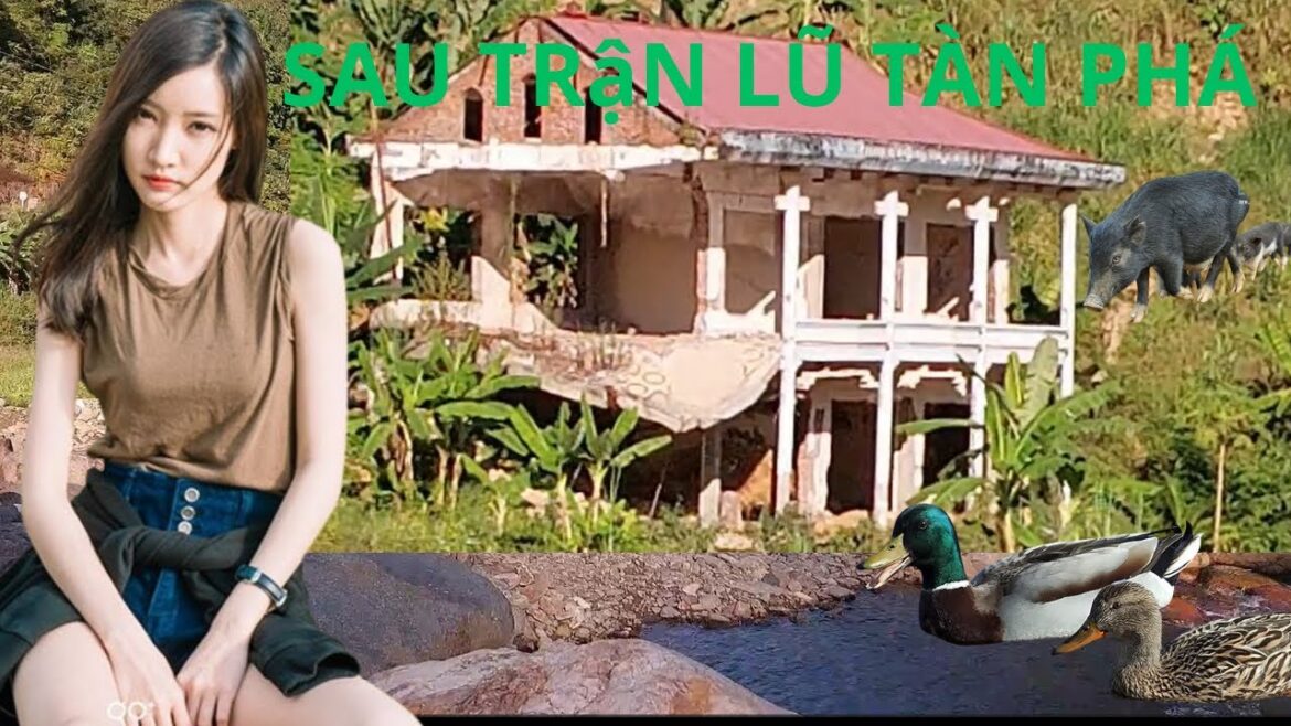 Kinh hoàng sau trận lũ và khu vực người La Ha sinh sống ở chân dãy núi hoàng liên sơn