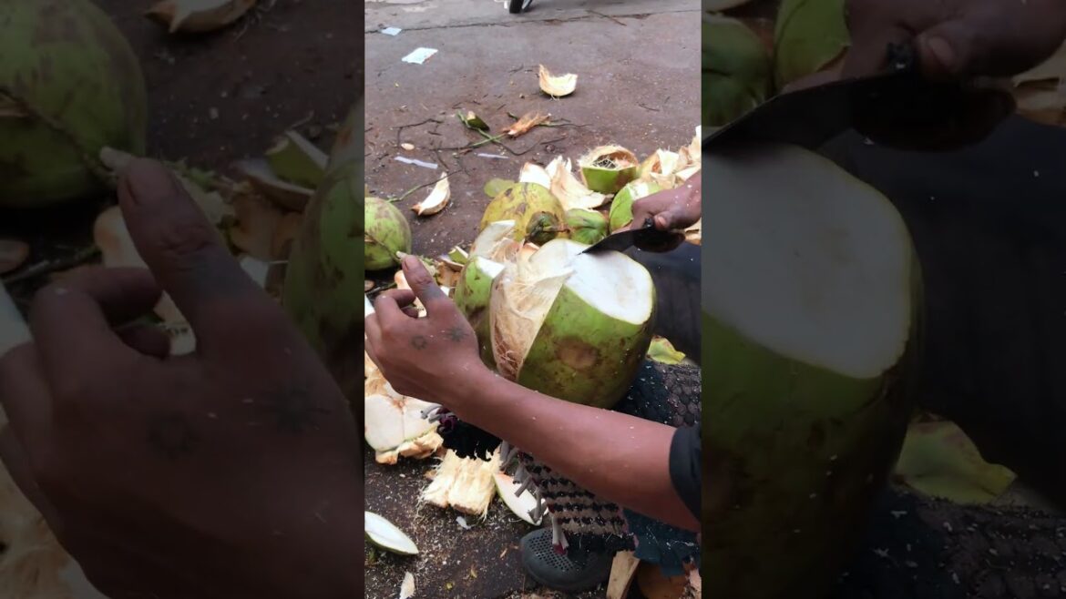 Fresh coconut cutting skill #shorts #streetfood #coconut #viral #asmr