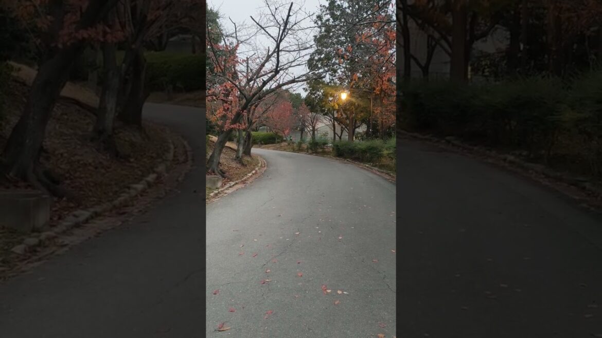 ដើរហាត់ប្រាណនៅសួនច្បារ ស៊ុយតា, go jogging in Suita Park, Beautiful Autumn in Japan #foryou #travel