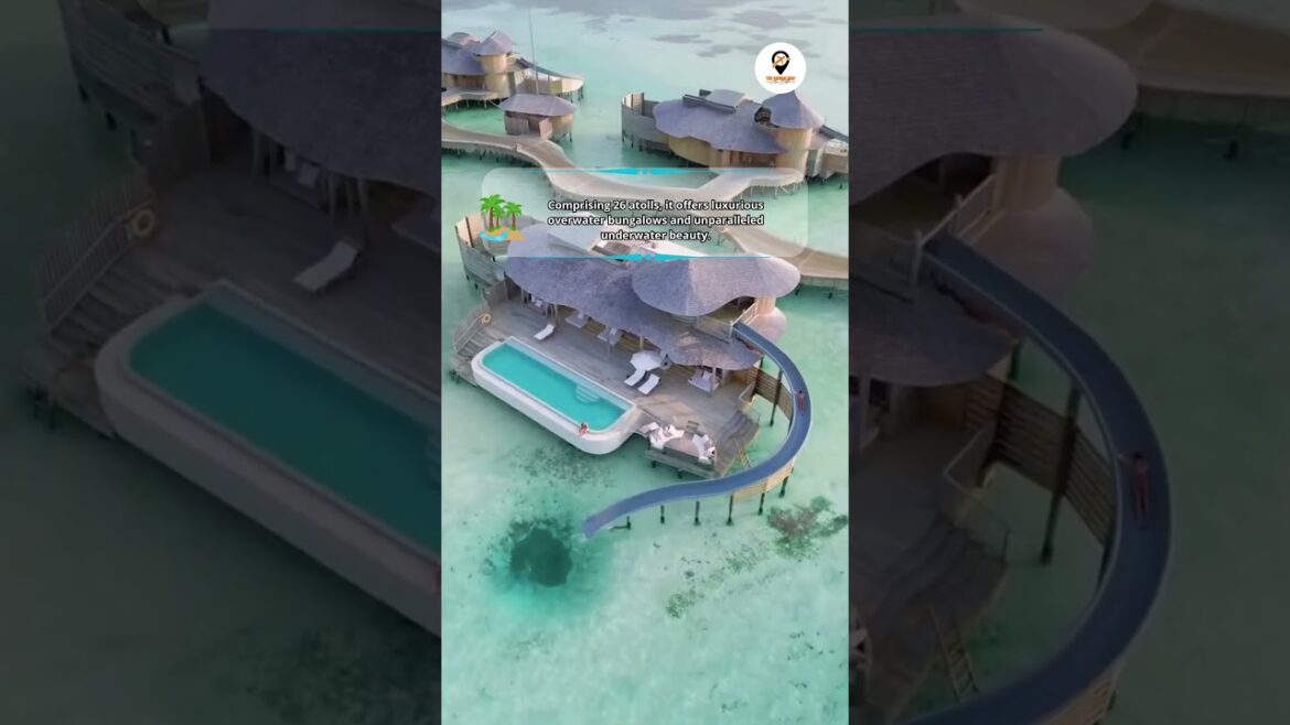 Maldives, a tropical paradise in the Indian Ocean | The Nomad Way #shorts #travel #bestplace Maldives, a tropical paradise in the Indian Ocean | The Nomad Way #shorts #travel #bestplace