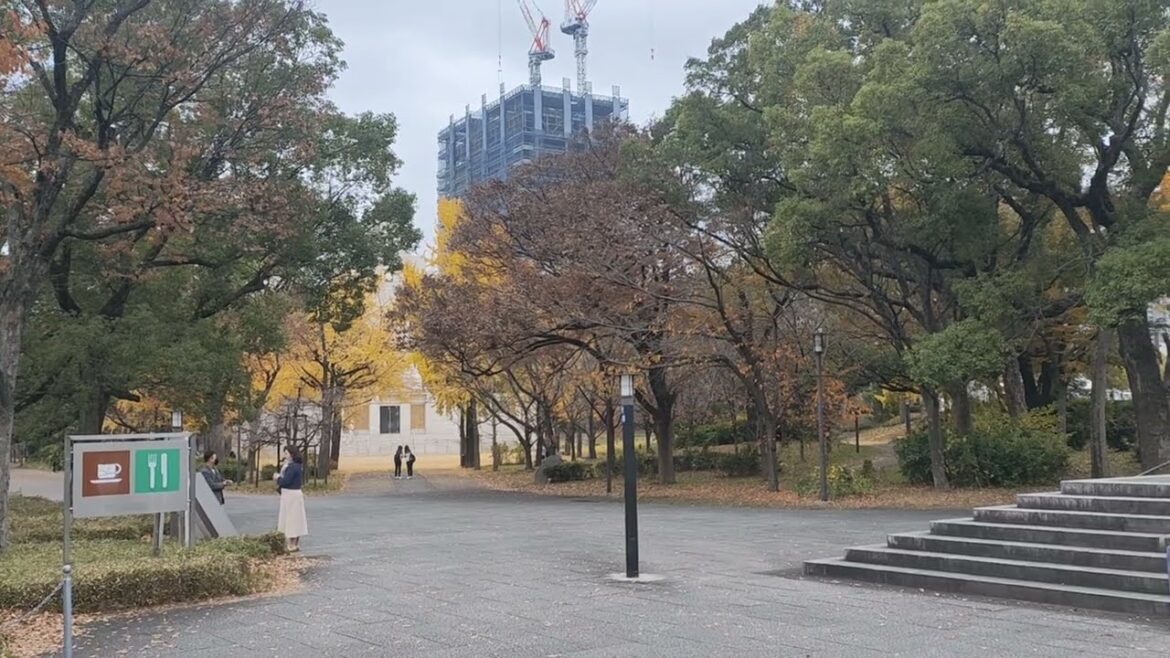 The Osaka city view, the administrative building, the Emperor Castle, Japan #foryou #food #travel