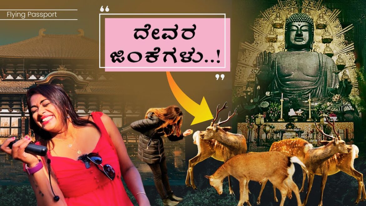 ಇಂಥ ವಿಶೇಷ ಪ್ರಾಣಿಗಳನ್ನು ನೀವು ನೋಡಿರೋಕೆ ಸಾಧ್ಯಾನೆಯಿಲ್ಲ❌ l Introvert Hotel | Japan🇯🇵 ಇಂಥ ವಿಶೇಷ ಪ್ರಾಣಿಗಳನ್ನು ನೀವು ನೋಡಿರೋಕೆ ಸಾಧ್ಯಾನೆಯಿಲ್ಲ❌ l Introvert Hotel | Japan🇯🇵