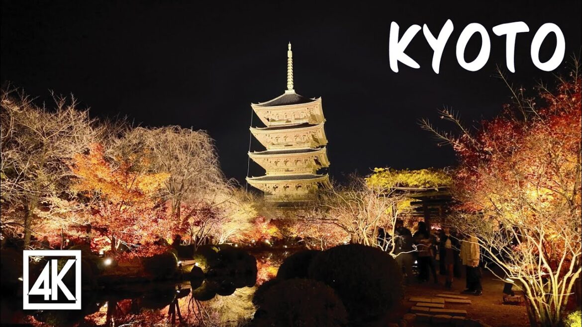 京都 東寺ライトアップされた紅葉と五重塔｜DJI Osmo Pocket 3 Low Light Test｜4K HDR｜#kyoto #toji