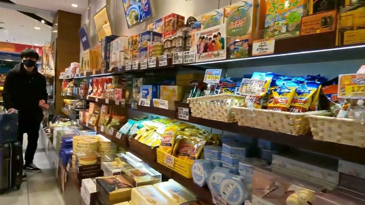 【JAPAN 4K】New Chitose Airport • Hokkaido Walk #2【TOKYO 東京】 【JAPAN 4K】New Chitose Airport • Hokkaido Walk #2【TOKYO 東京】